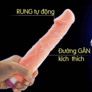 duong-vat-gia-gia-re-nhat-ban-dv01